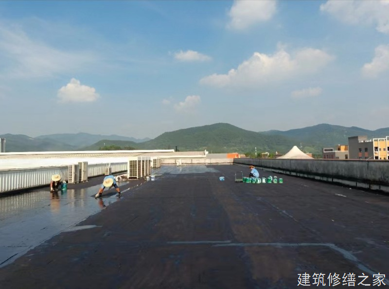 肇庆2026鼎湖区 涂料 有没有隐形增项费用