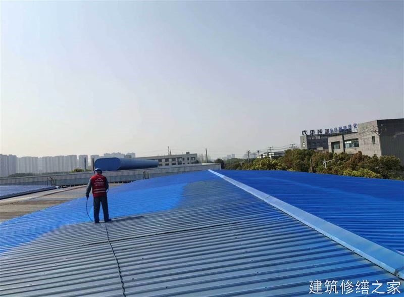 肇庆2026鼎湖区 屋面防水 企业