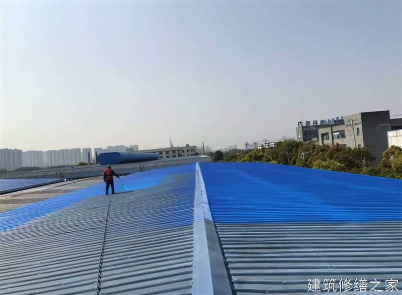 肇庆2026德庆县 外墙防水 有没有正规资质
